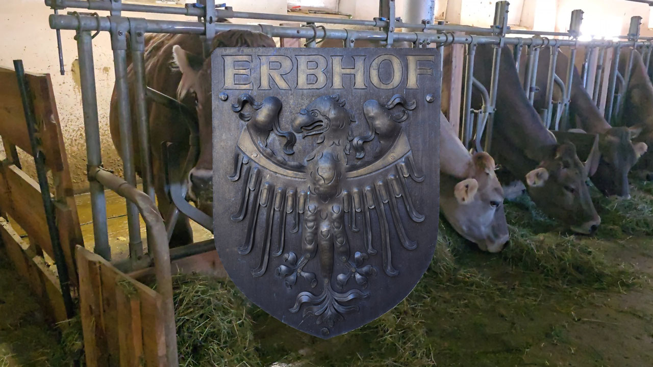 Impressionen vom Ramitzl-Hof