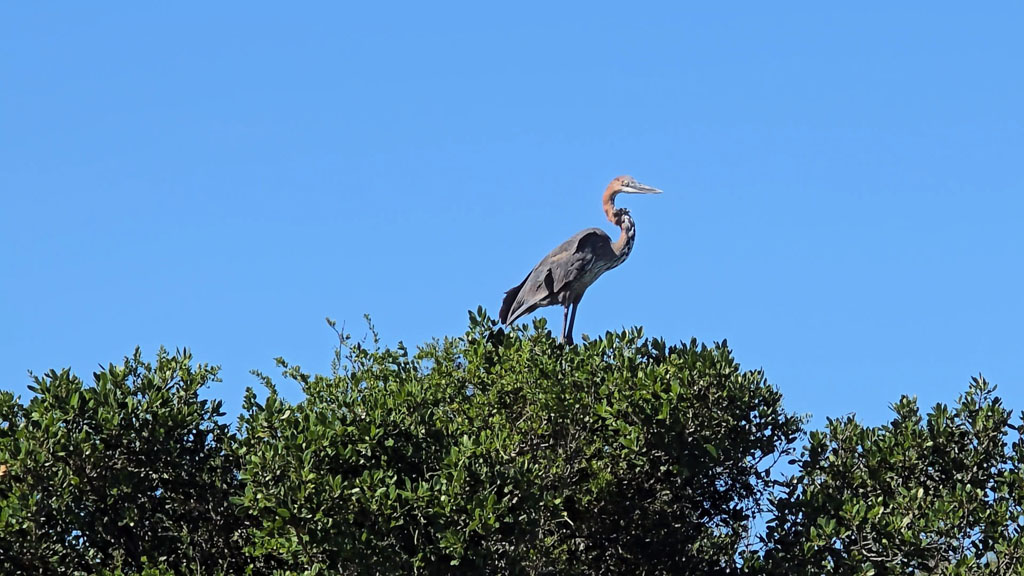 Ausschnitte der Bootsfahrt auf dem Sunday's-River